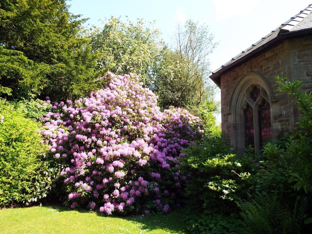 Old Vicarage B&B Coleford  Bagian luar foto